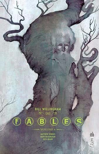 Cover of Fables Intégrale tome 6