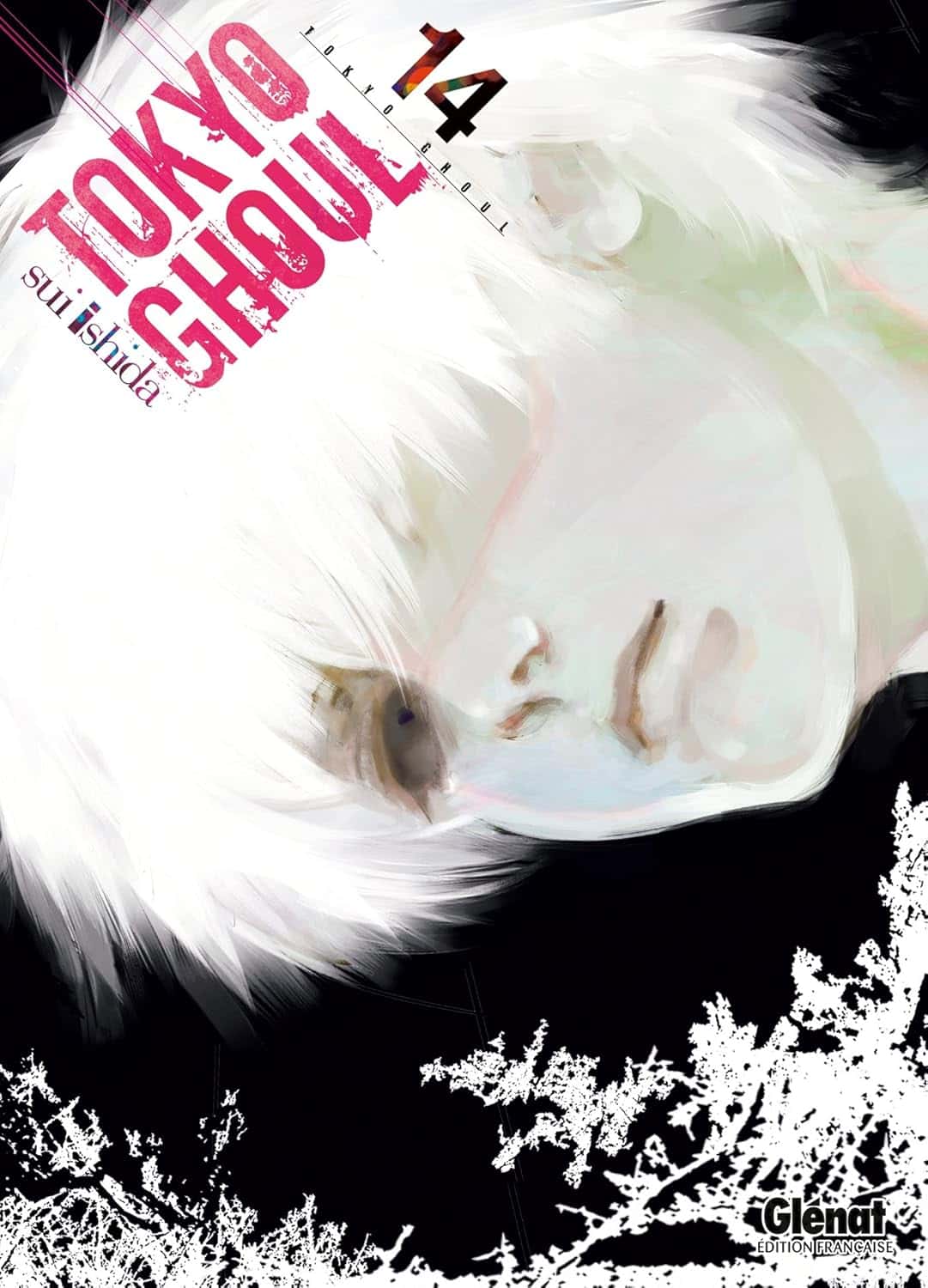 Cover of Tokyo Ghoul - Tome 14