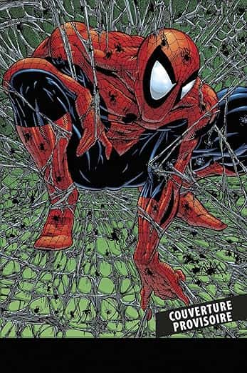 Cover of Spider-Man par McFarlane